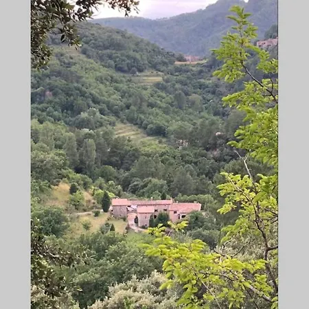 Ferienhaus Mas Historique Du Xve Cevennes Saint-Paul-la-Coste