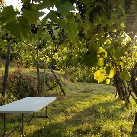 Holiday home Mas Historique Du Xve Cevennes *